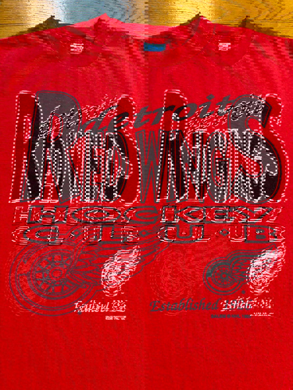 Vintage NHL Detroit Red Wings Stanley Cup Champions T-Shirt