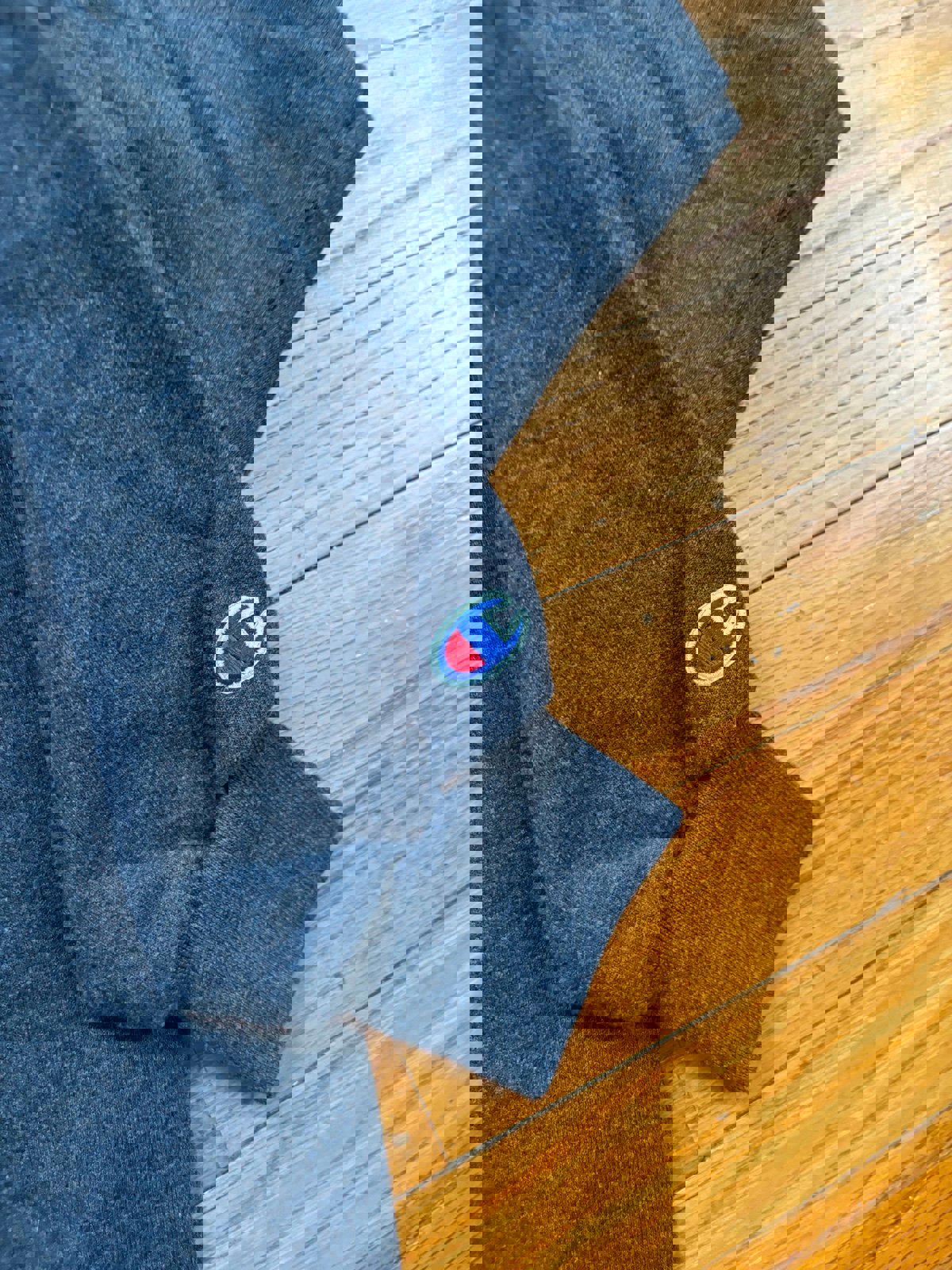 Champion University of Notre Dame Fighting Irish Hoodie Sweater