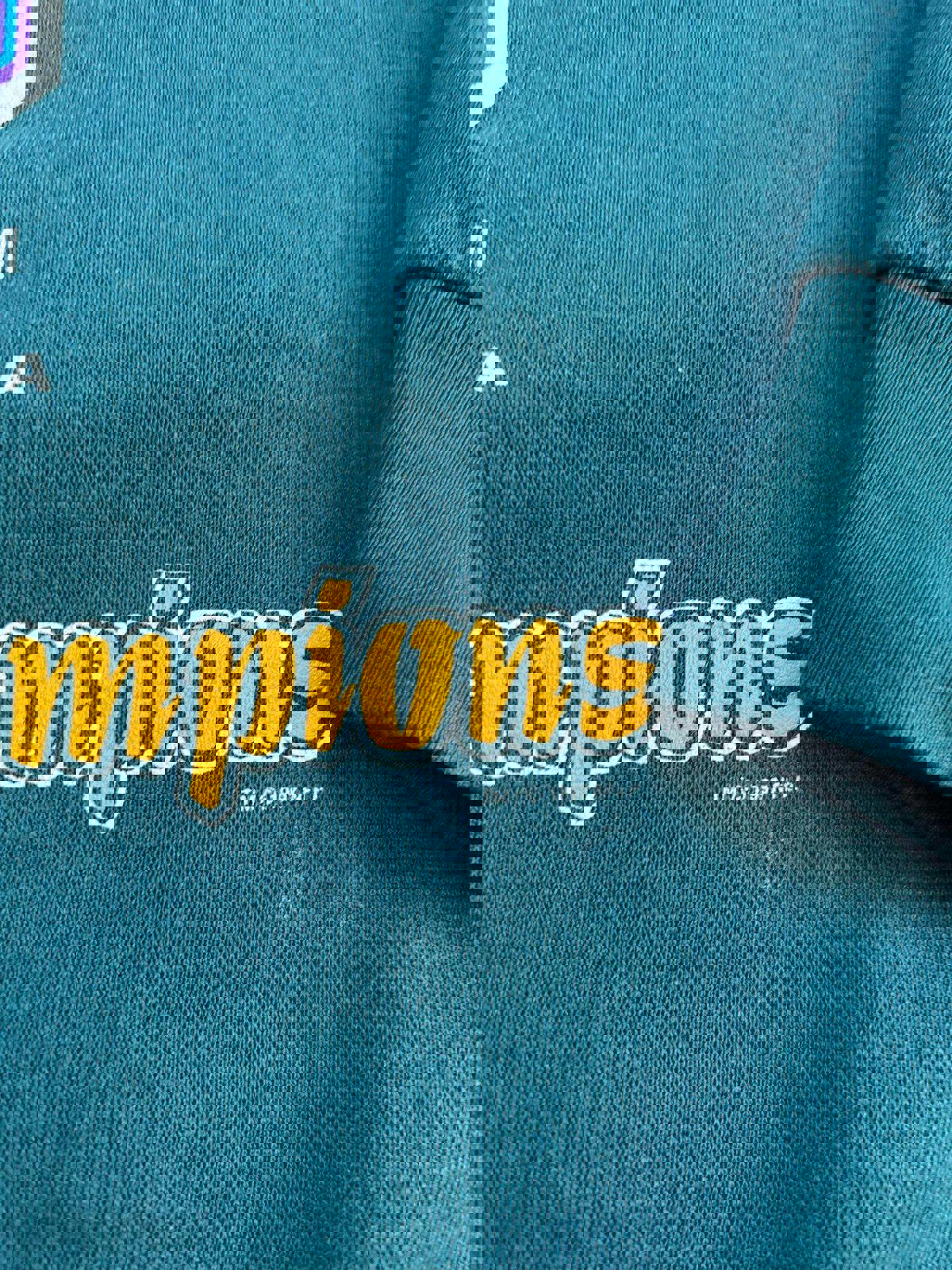 Vintage 90s NFL Green Bay Packer Super Bowl XXXI Champions Crewneck Sweater