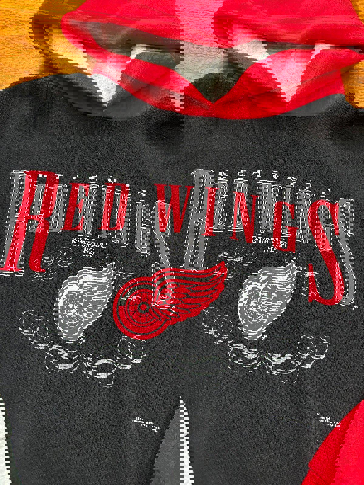 Vintage 90s NHL Detroit Red Wings Nutmeg Mills Hoodie Sweater