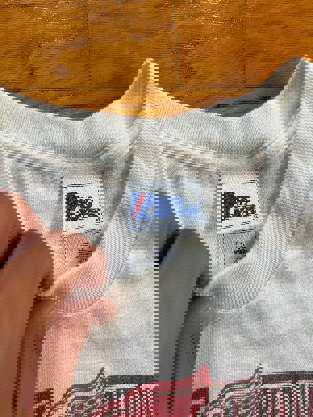 Vintage NHL Detroit Red Wings Stanley Cup Champions T-Shirt