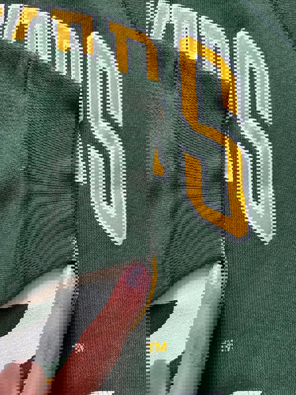 Vintage 90s NFL Green Bay Packers NFC North Champions Crewneck Sweater