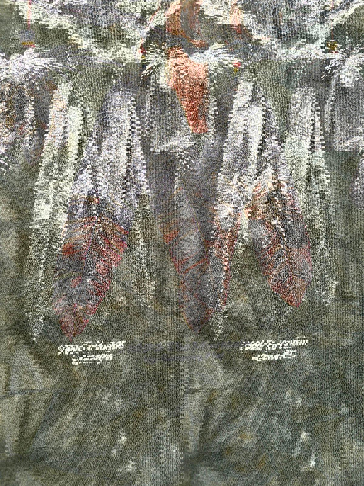 Vintage Native Americans Nature The Mountains Tie Dye T-Shirt