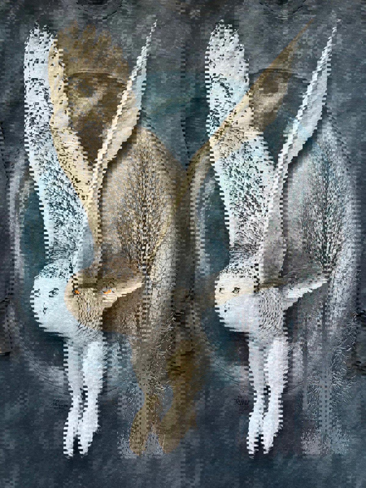 Vintage Owl Nature The Mountains Tie Dye Long Sleeve T-Shirt