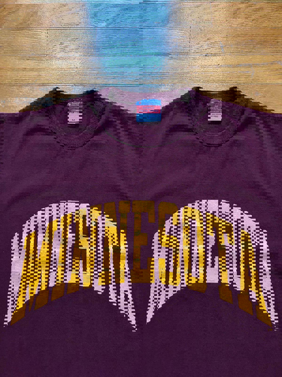 Vintage Champion Minnesota Gophers T-Shirt