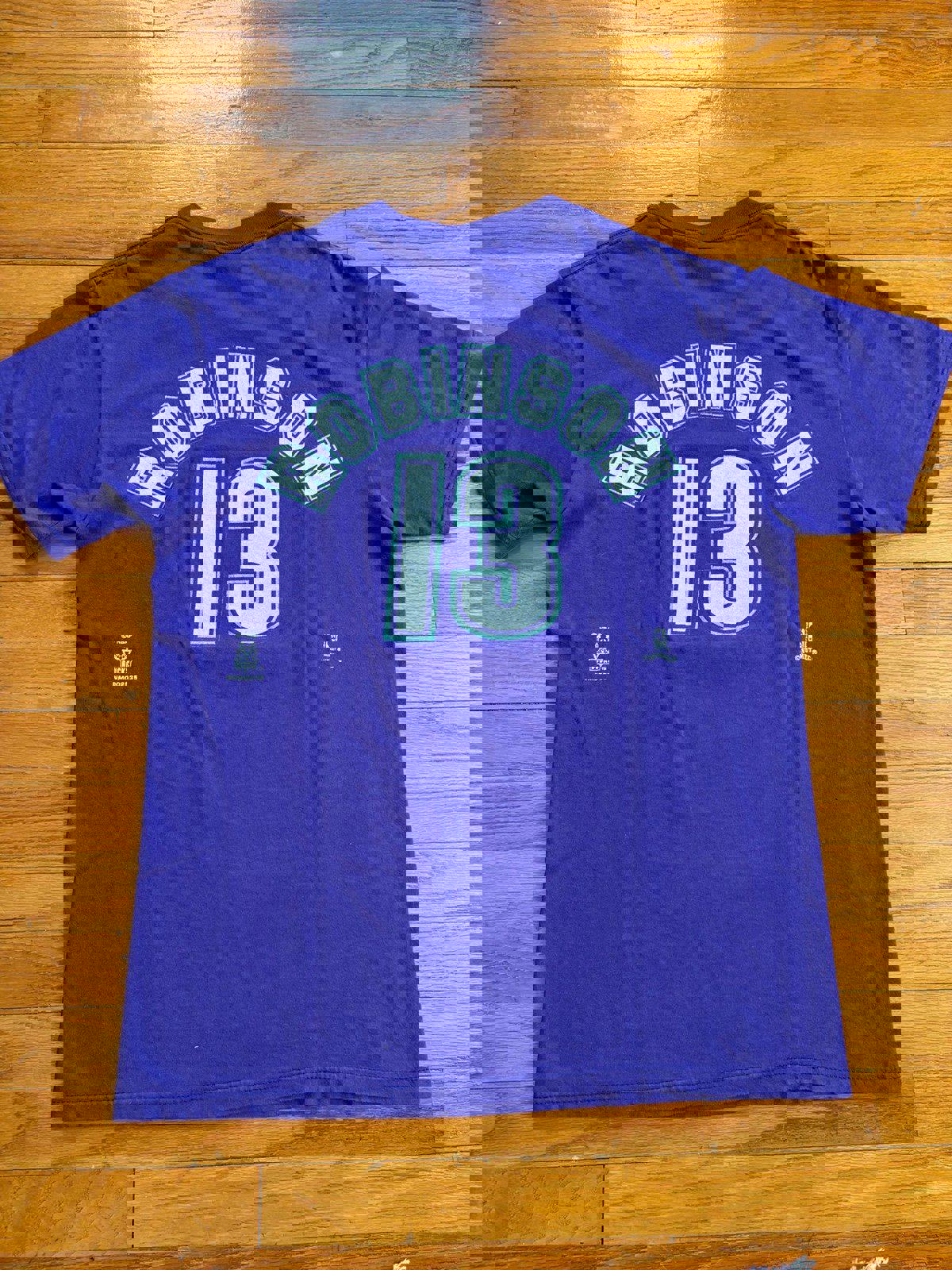 Vintage 90s Milwaukee Bucks Glen Big Dog Robinson T-Shirt