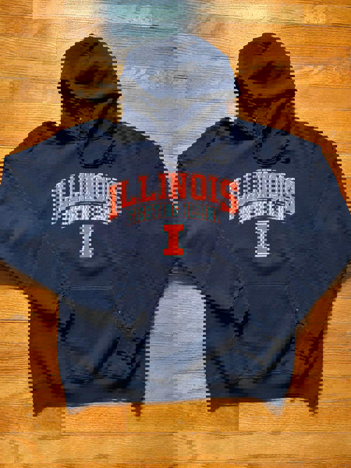 Vintage Champion University of Illinois Fighting Illini Hoodie