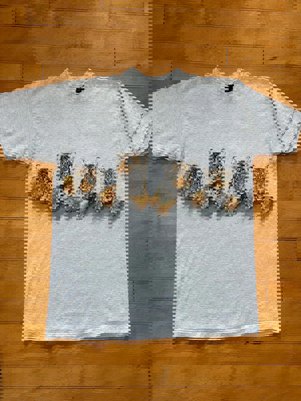 Vintage Nature Lion Milwaukee Wisconsin Country Zoo T-Shirt