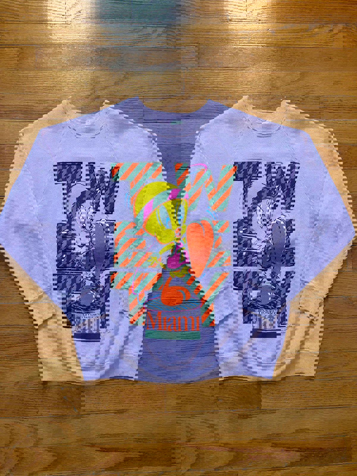 Vintage 90s University of Miami Hurricanes Tweety Bird Crewneck