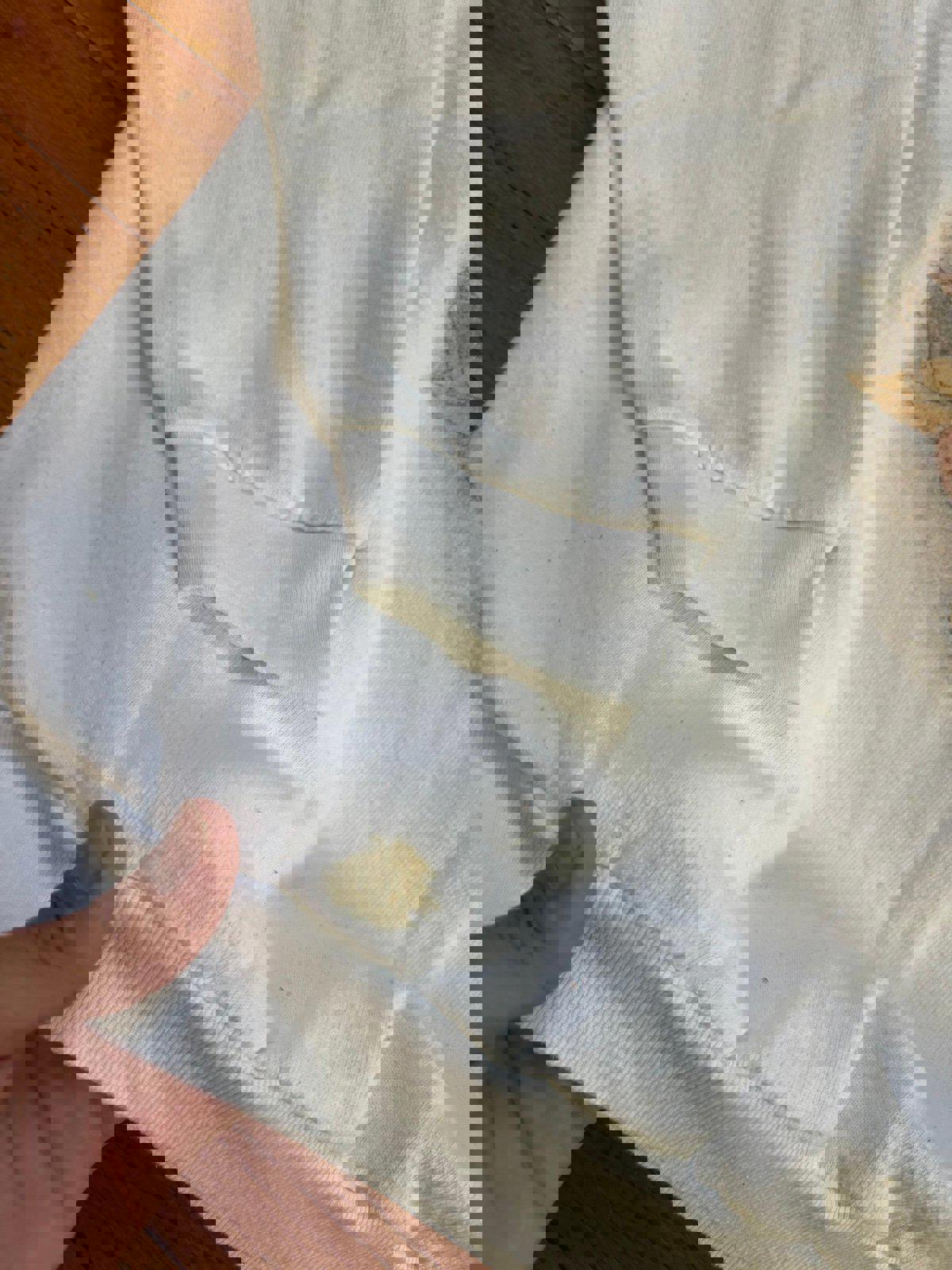 Vintage Fall Dog Puppies Kitten Crewneck Sweater